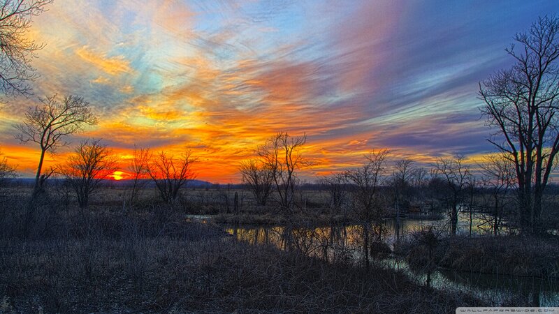 Sunset over Marshland — Orange, Dramatic, Photograph, Trees, Sky