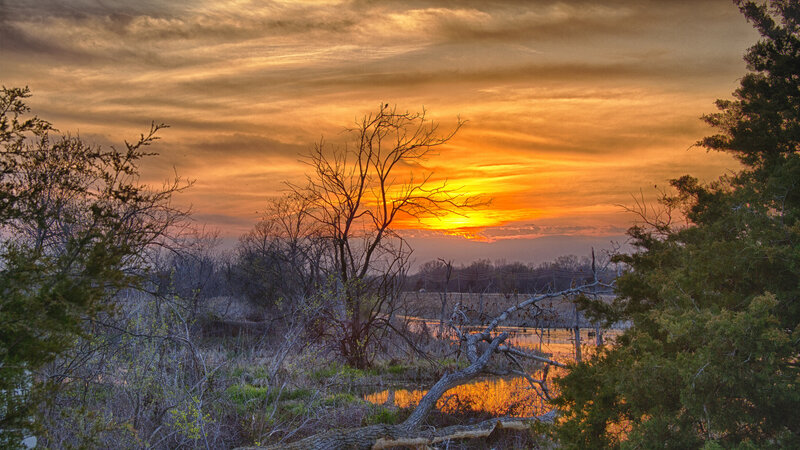 Sunset over Marshland — Orange, Dramatic, Photograph, Trees, Sky, Water