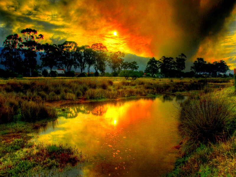 Sunset over Marshland — Orange, Dramatic, Photograph, Trees