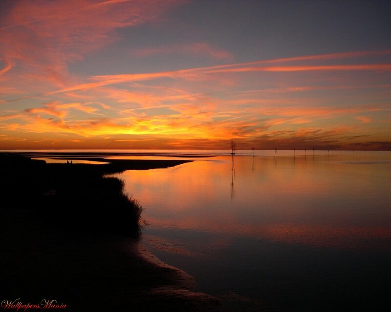 Sunset over Marshland — Orange, Serene, Photograph, Sky