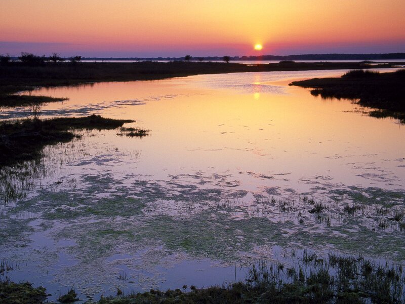 Sunset over Marshland — Orange, Serene, Photograph, Sun, Water, Vegetation