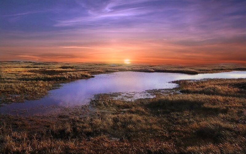 Sunset over Marshland — Purple, Serene, Photograph, Sun