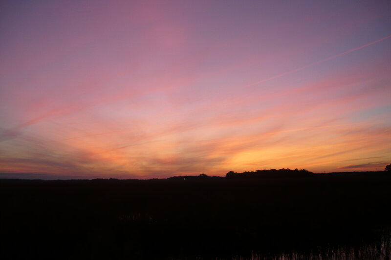 Sunset over Marshland — Purple, Serene