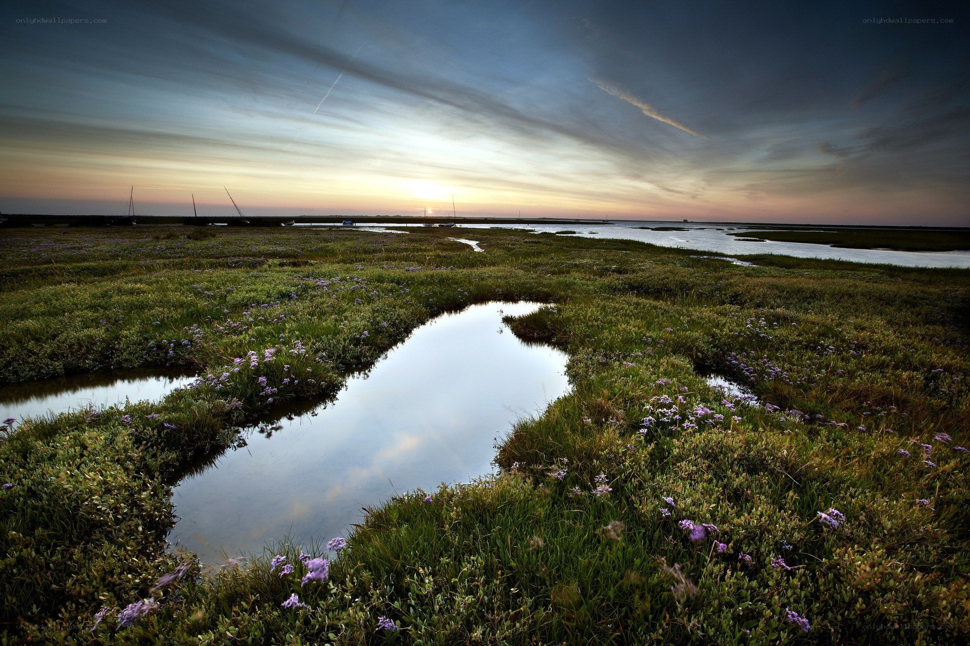 Sunset over marshland with water channels