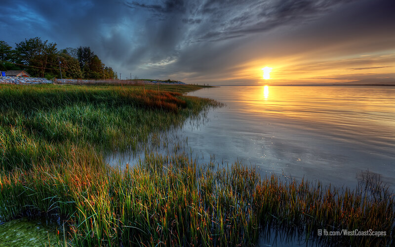 Sunset over Marshland — Yellow, Dramatic, Photograph
