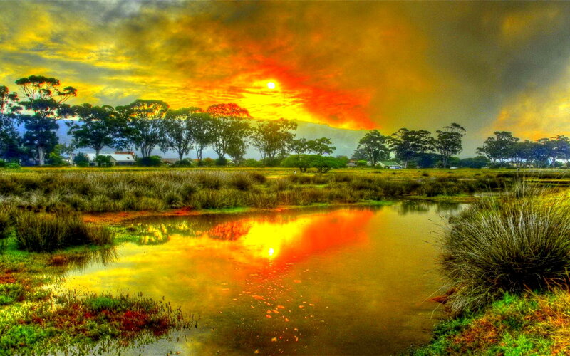 Sunset over Marshland — Yellow, Dramatic, Photograph, Trees