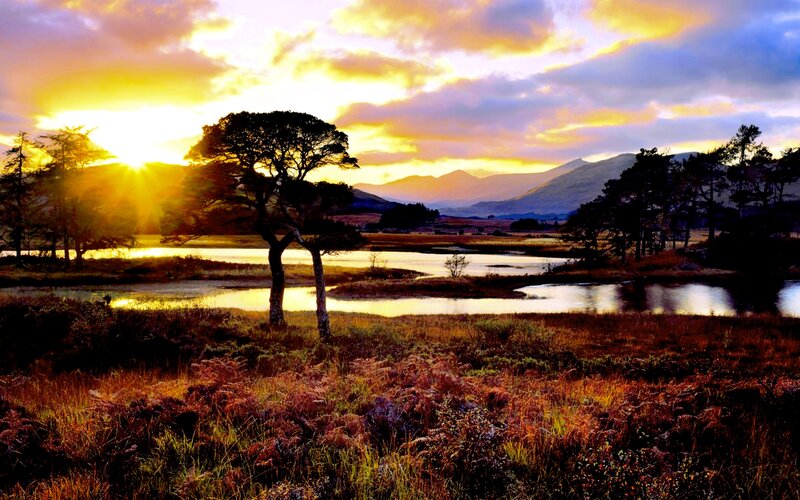 Sunset over Marshland — Yellow, Dramatic