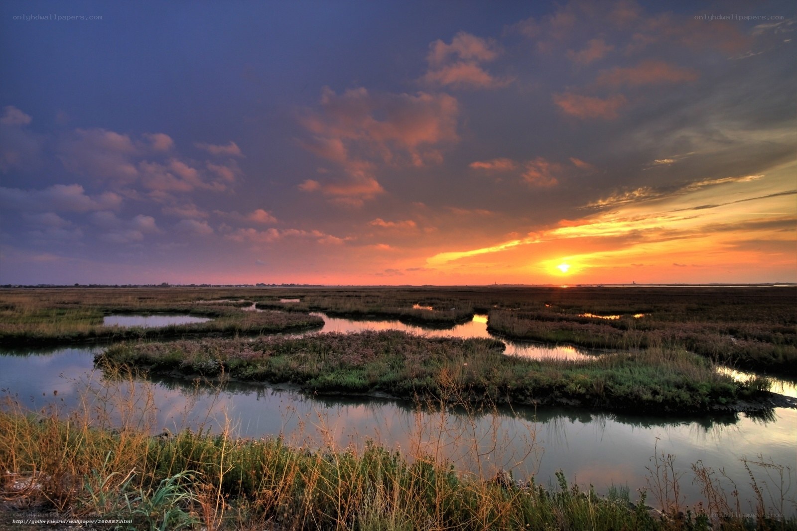 Sunset over marshland