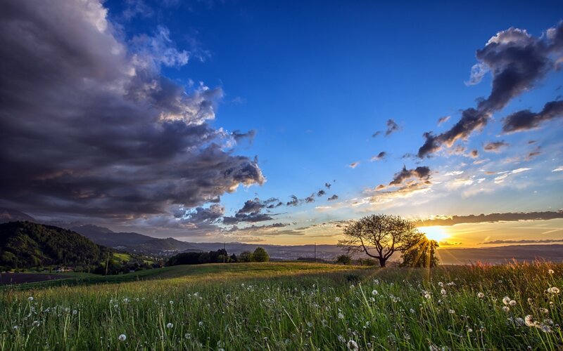 Sunset over Meadow