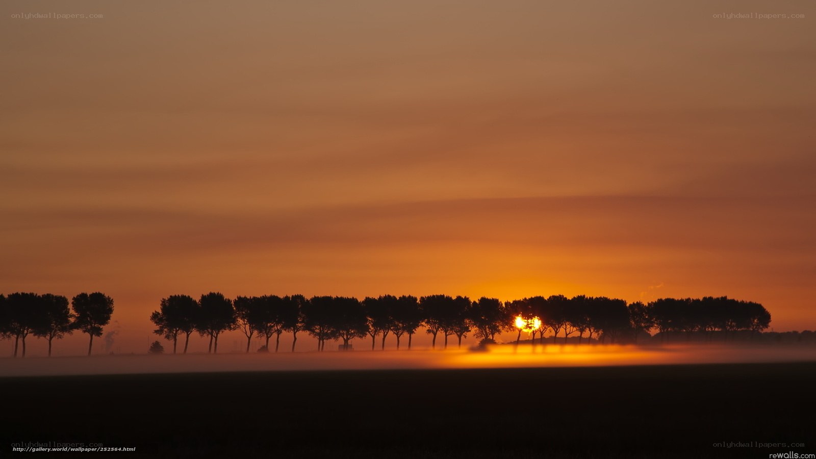 Sunset over misty field