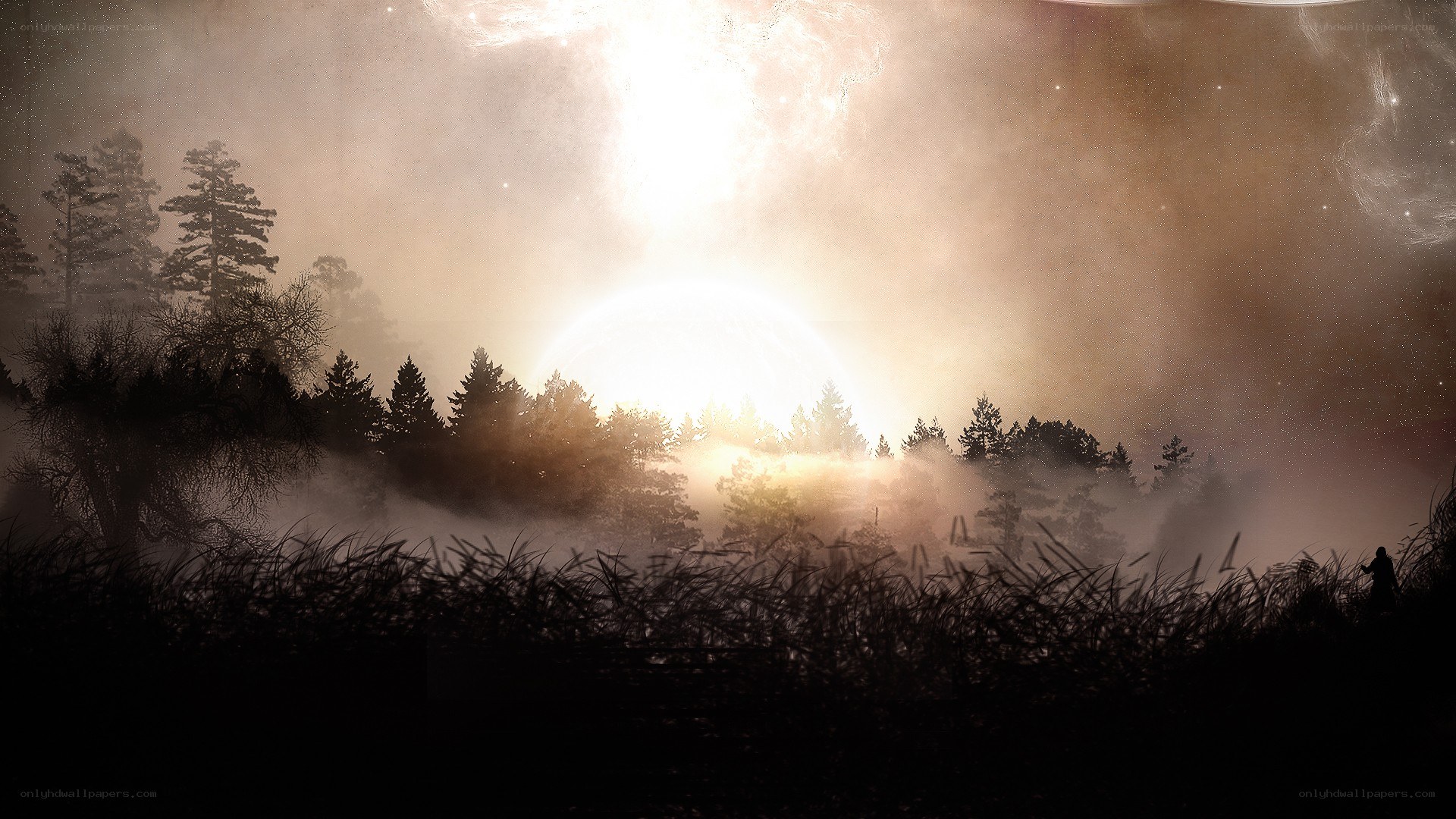 sunset over misty forest