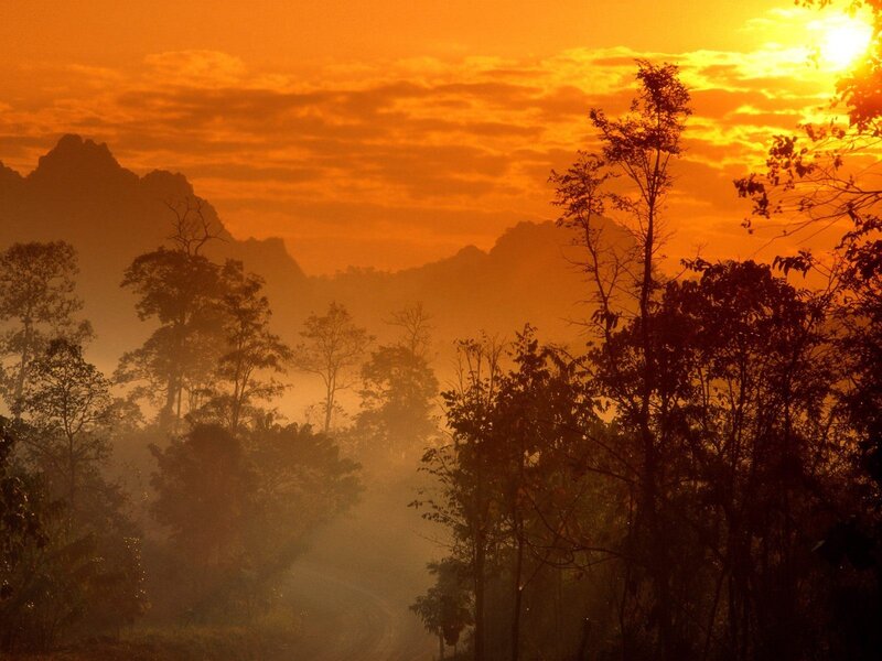 Sunset over misty forest mountains