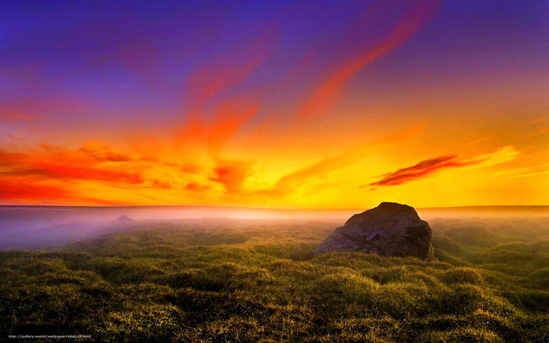 Sunset over misty grassland