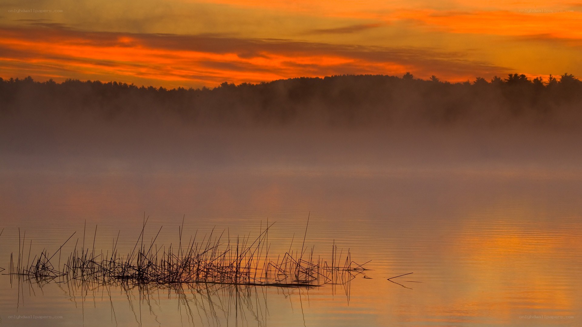 Sunset over misty lake