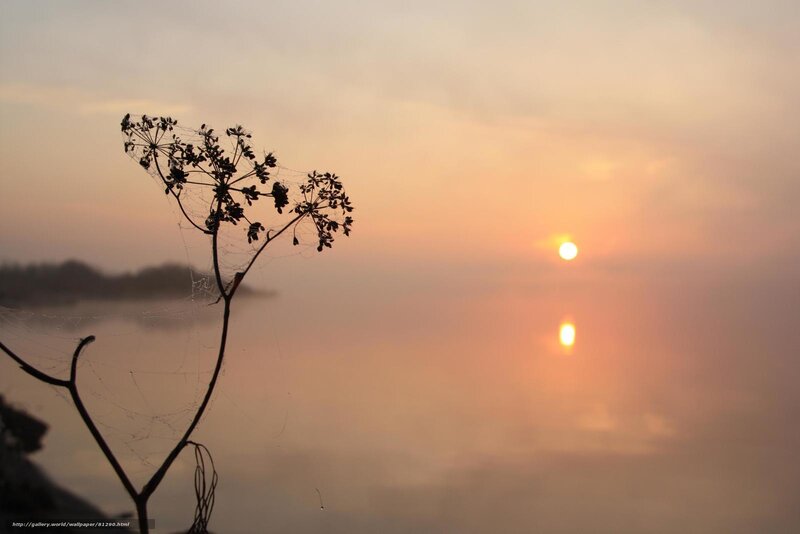 Sunset over misty lake