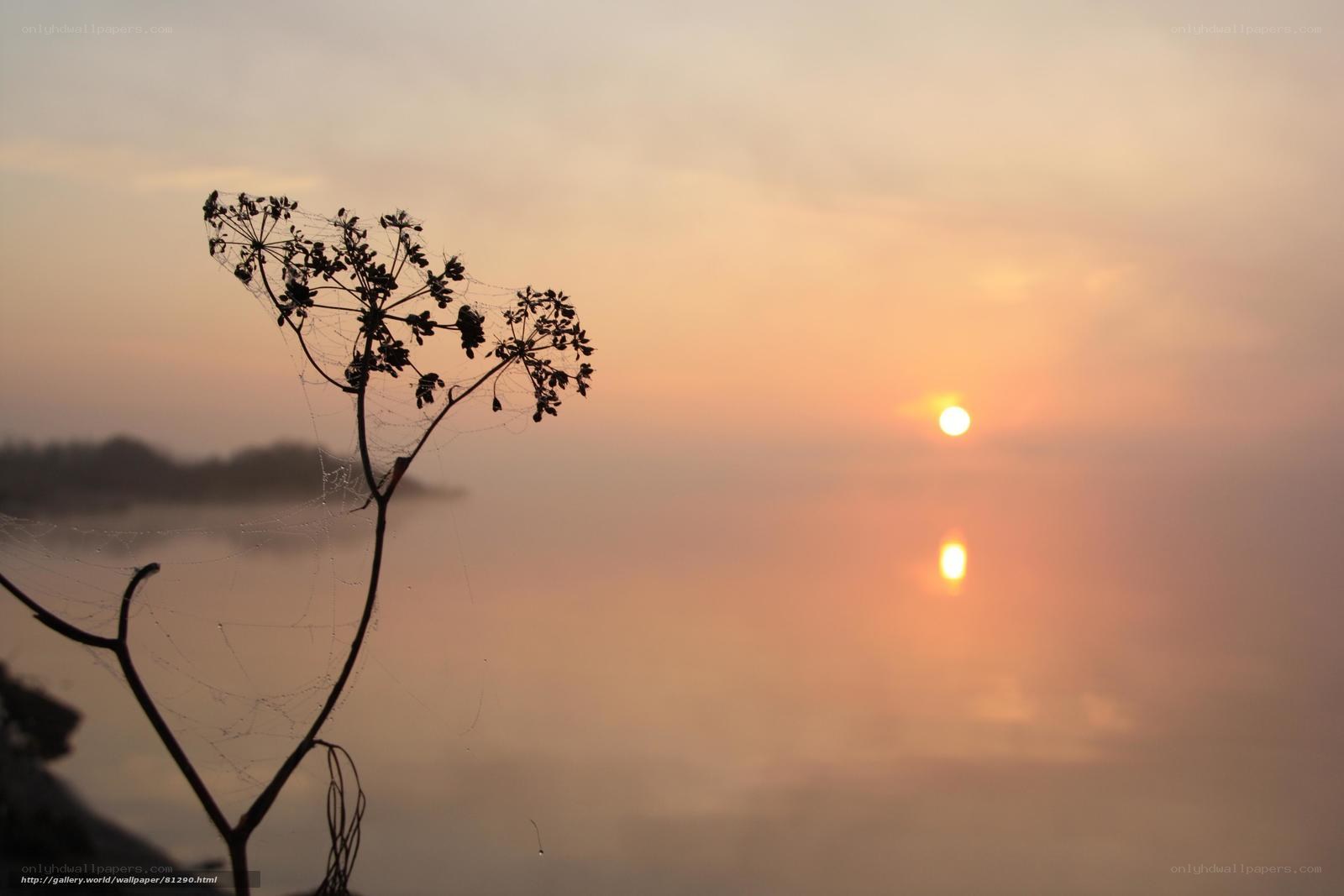 Sunset over misty lake