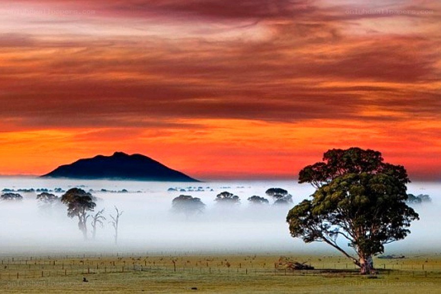 Sunset over misty landscape