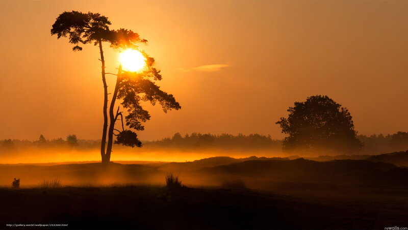Sunset over misty landscape
