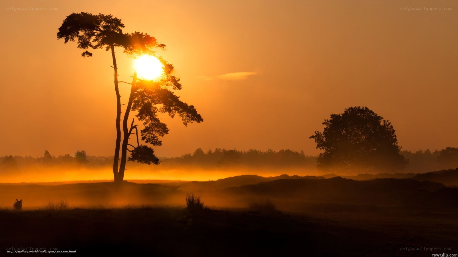 Sunset over misty landscape