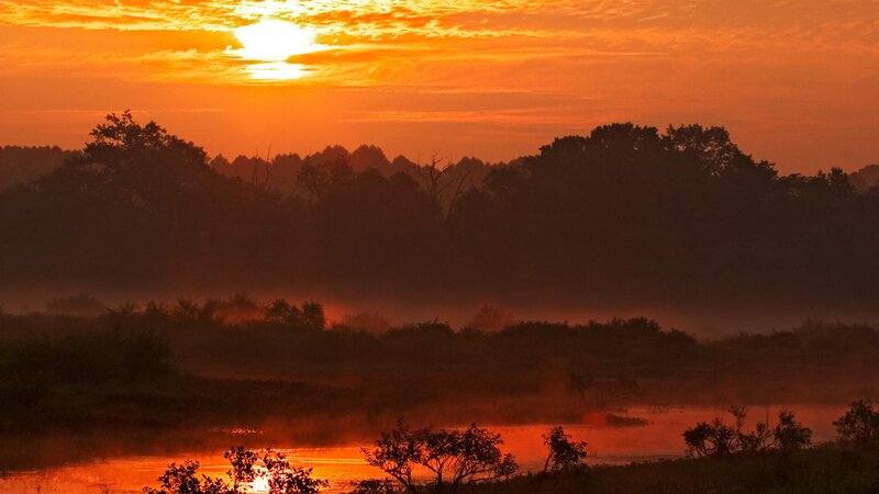 Sunset over misty marsh