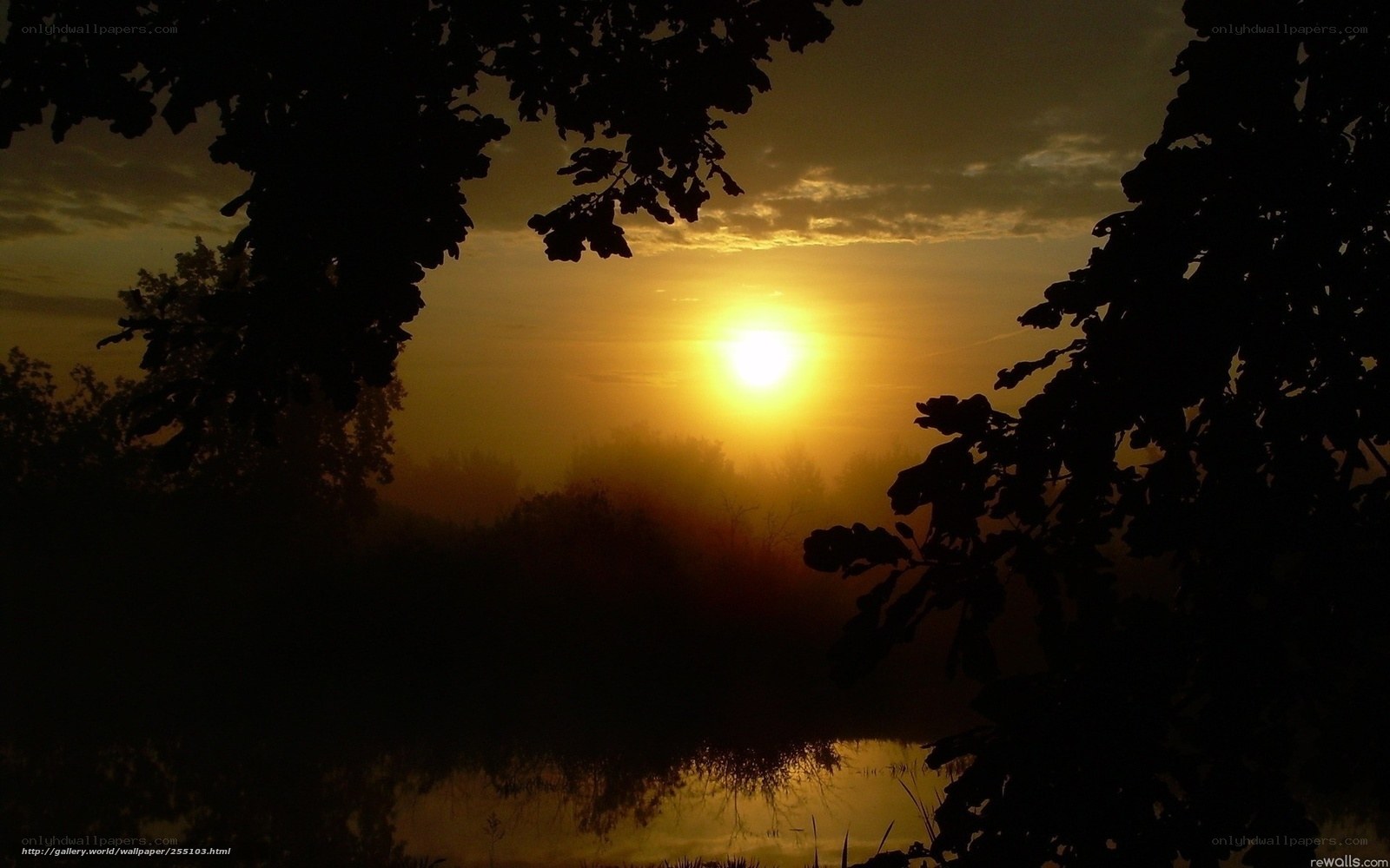 Sunset over misty river