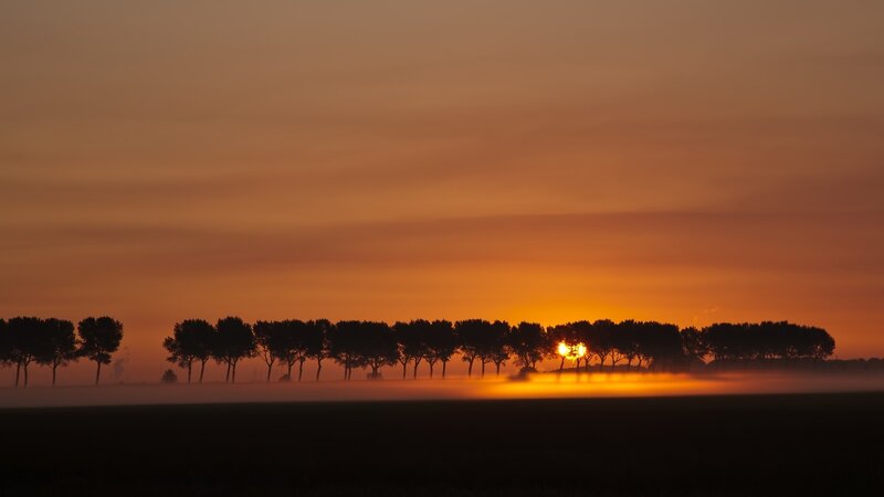 Sunset over misty trees