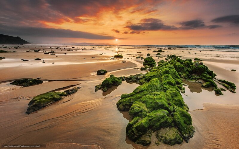 Sunset over mossy beach rocks