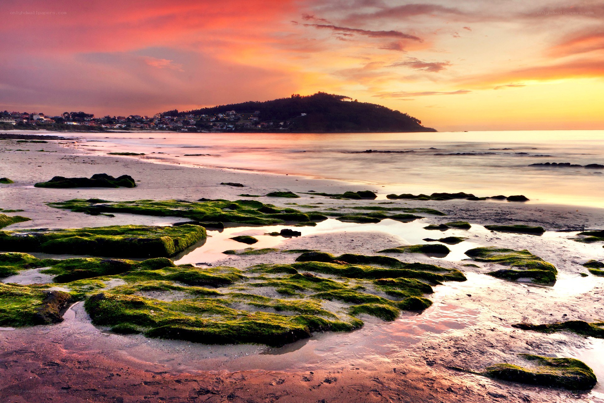 sunset over mossy beach
