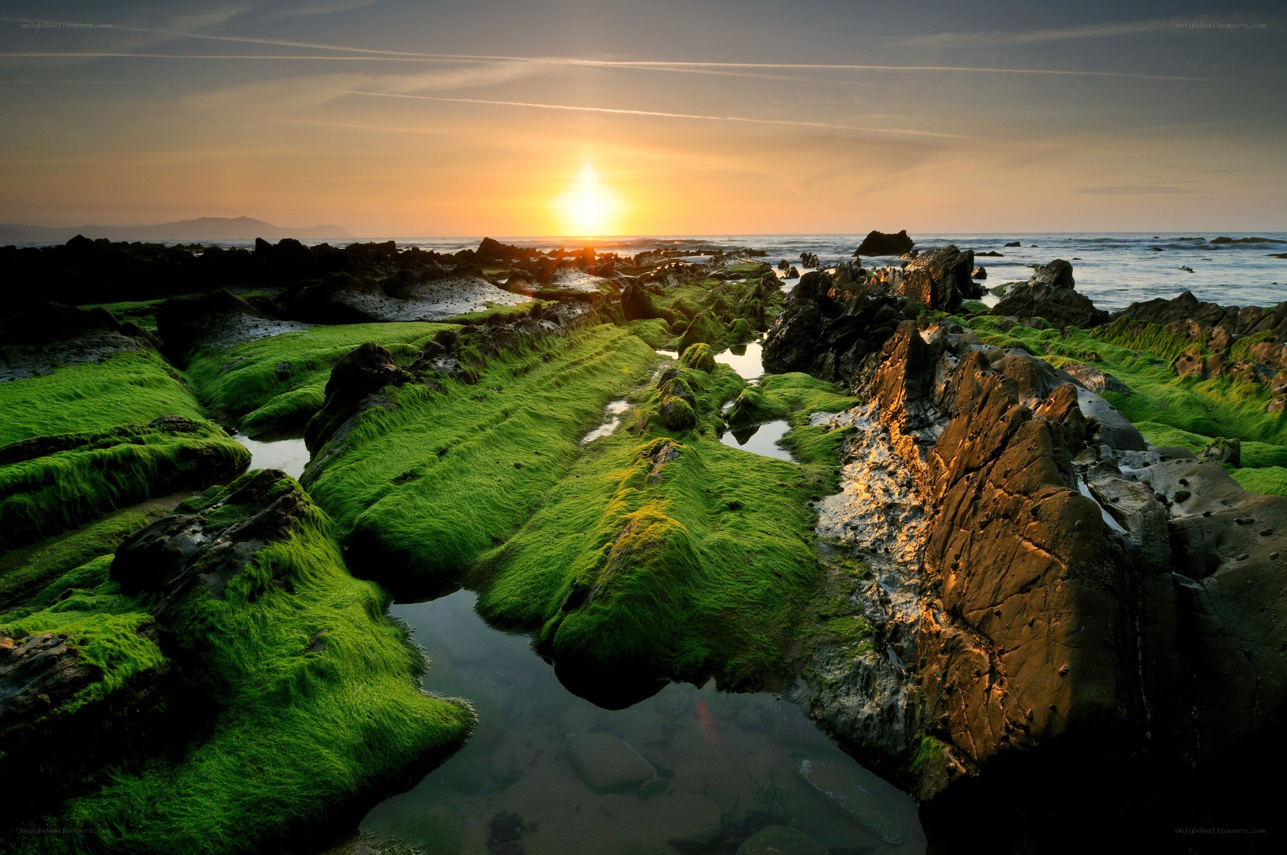 Sunset over mossy rocks