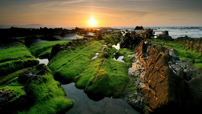 Sunset over mossy rocks