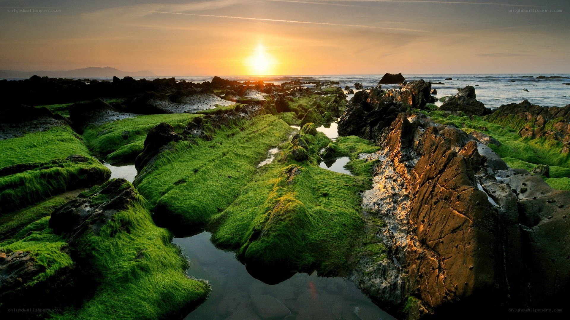 Sunset over mossy rocks