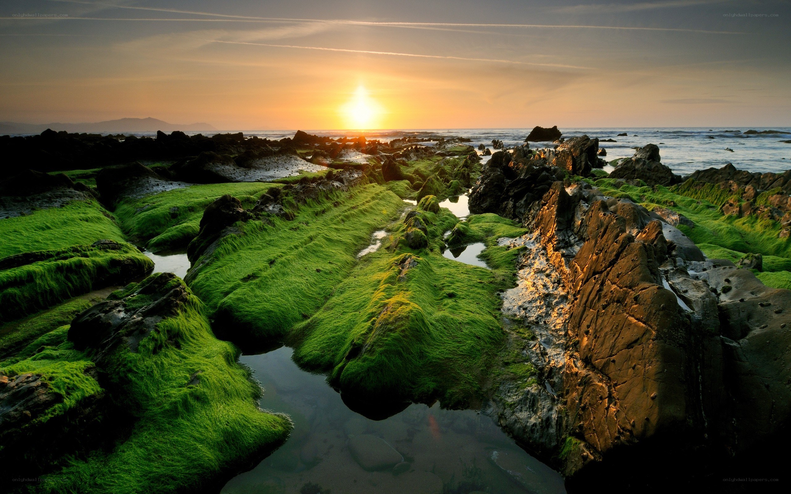 Sunset over mossy rocks