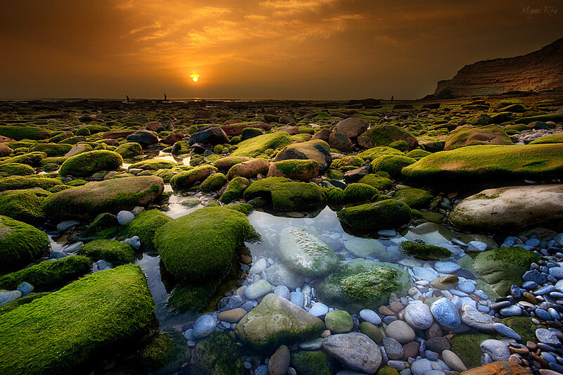 Sunset over mossy rocks