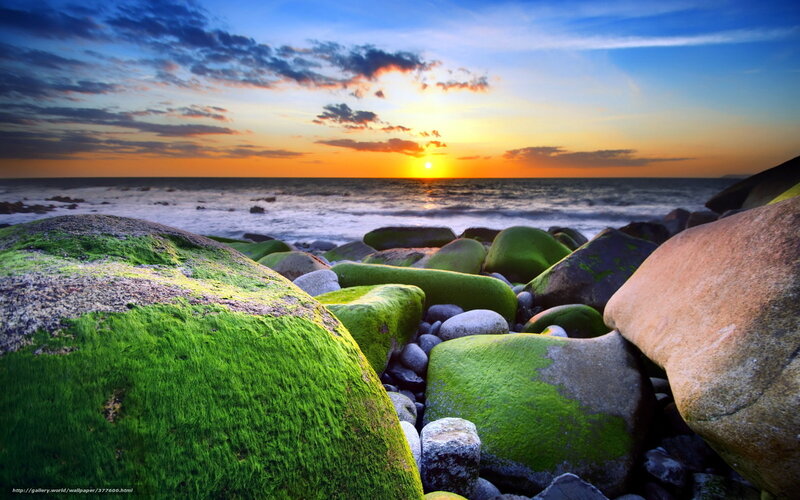 Sunset over mossy rocks