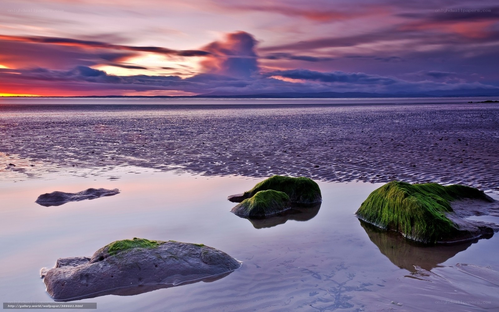 Sunset over mossy rocks