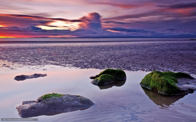 Sunset over mossy rocks