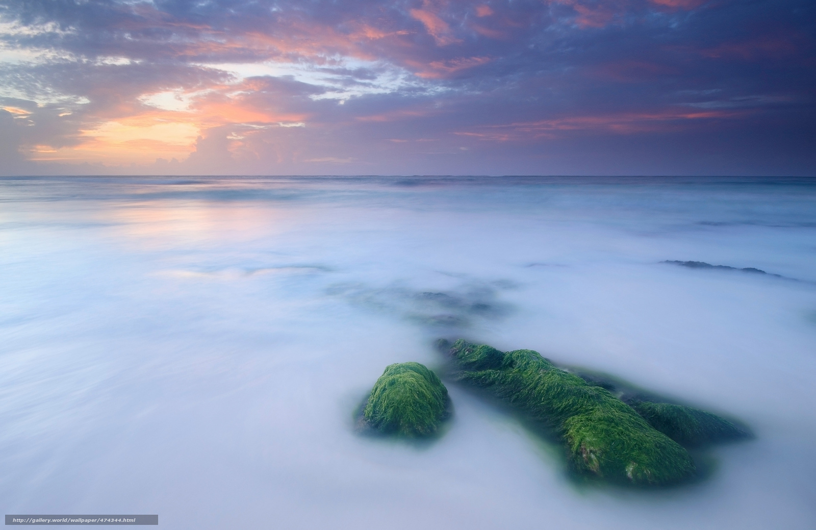 Sunset over mossy rocks