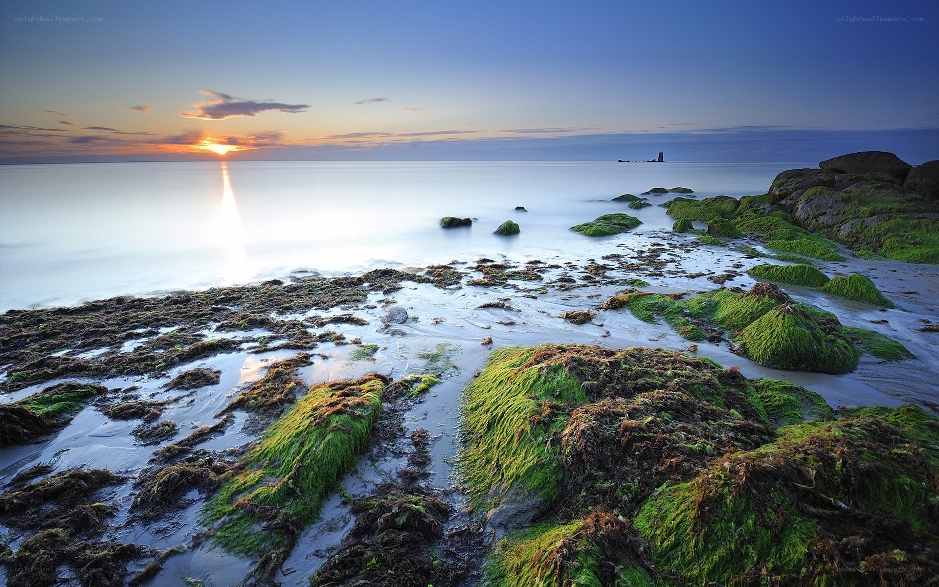 Sunset over mossy rocks
