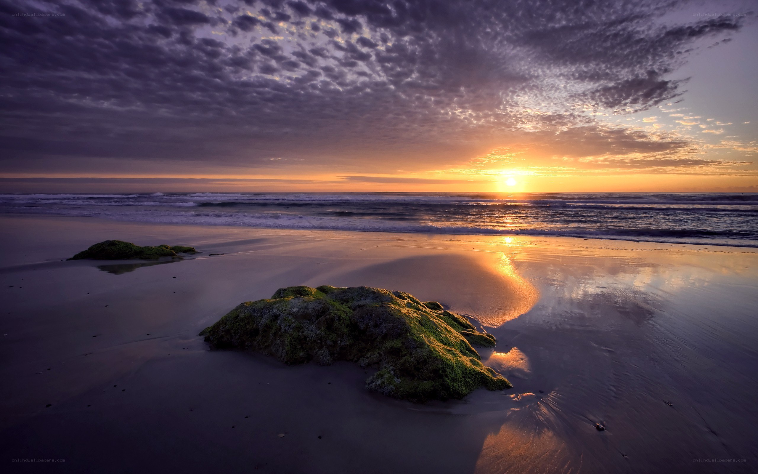 Sunset over mossy rocks on beach