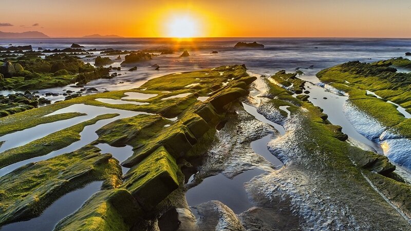 Sunset over mossy tide pools