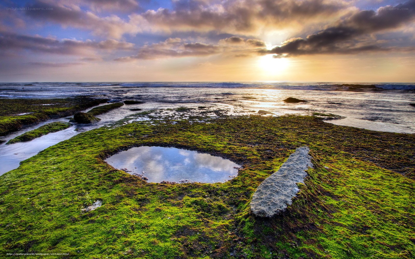 Sunset over mossy tide pools