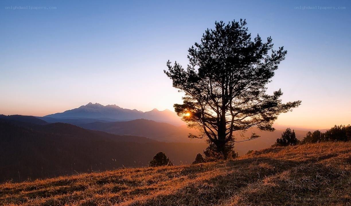Sunset over mountain landscape