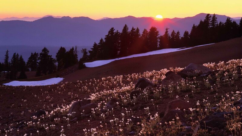 Sunset over mountain meadow