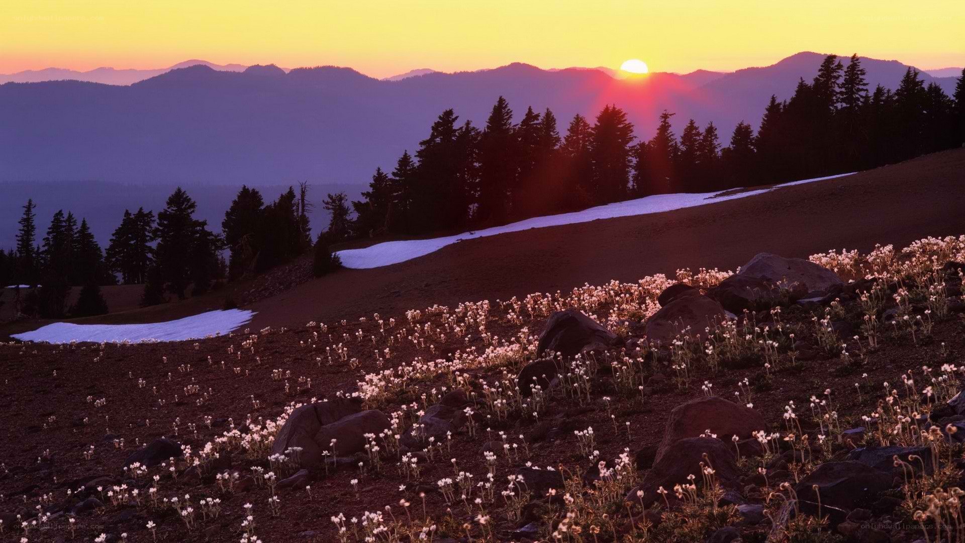 Sunset over mountain meadow