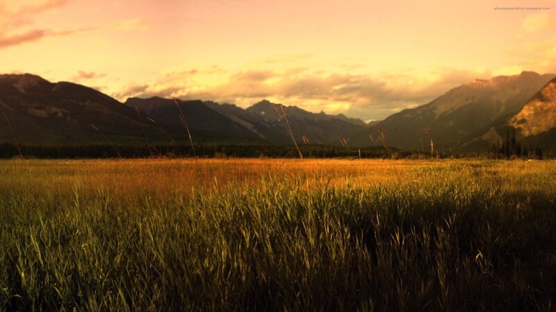 Sunset over mountain meadow
