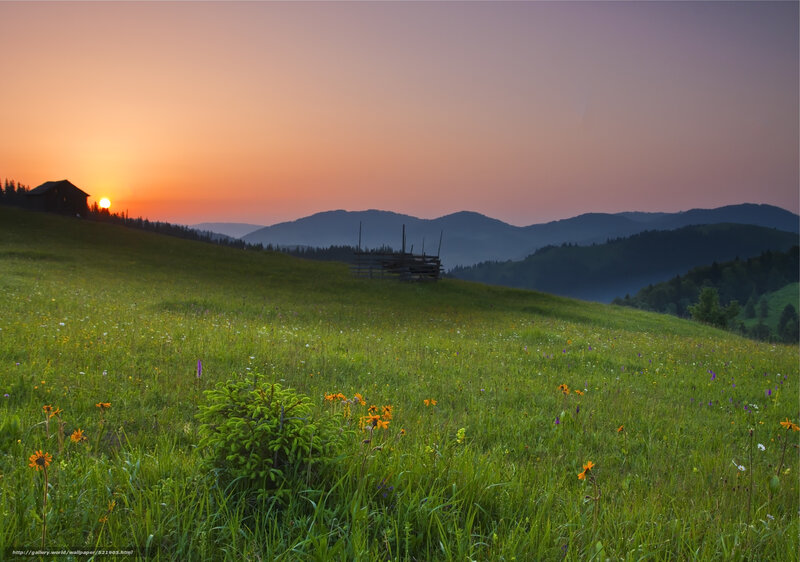 Sunset over Mountain Meadow — Green