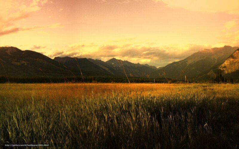 Sunset over mountain meadow
