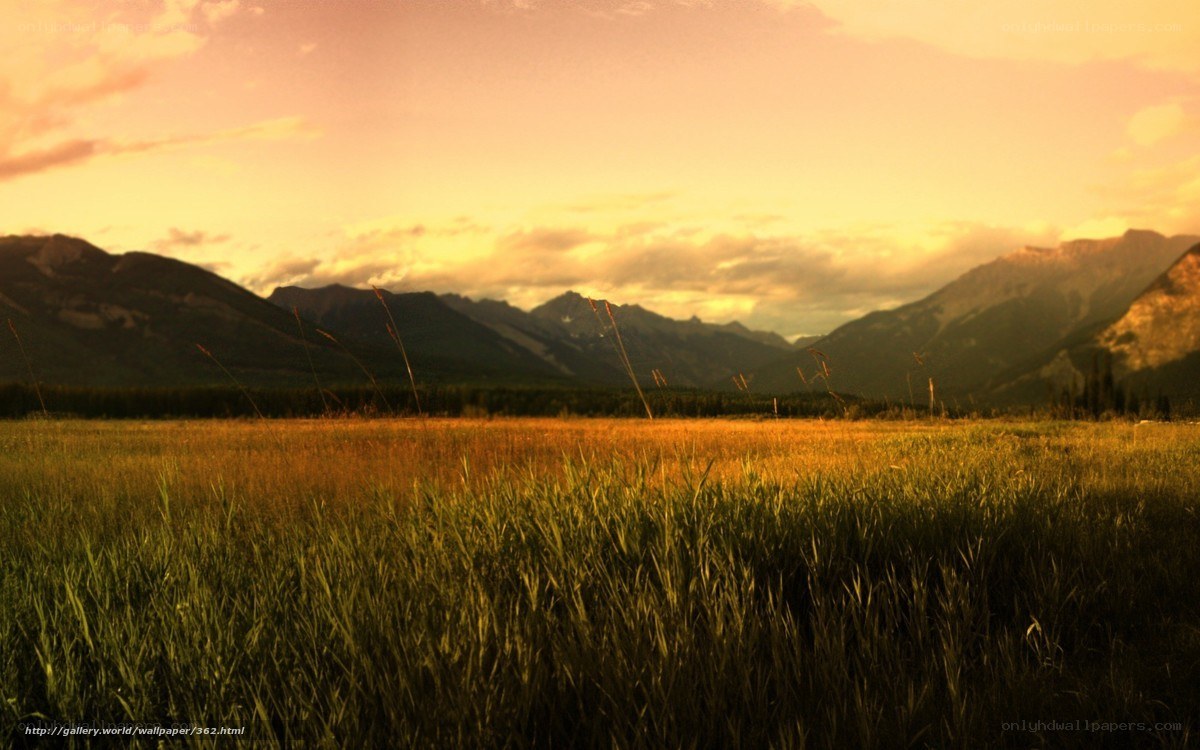 Sunset over mountain meadow