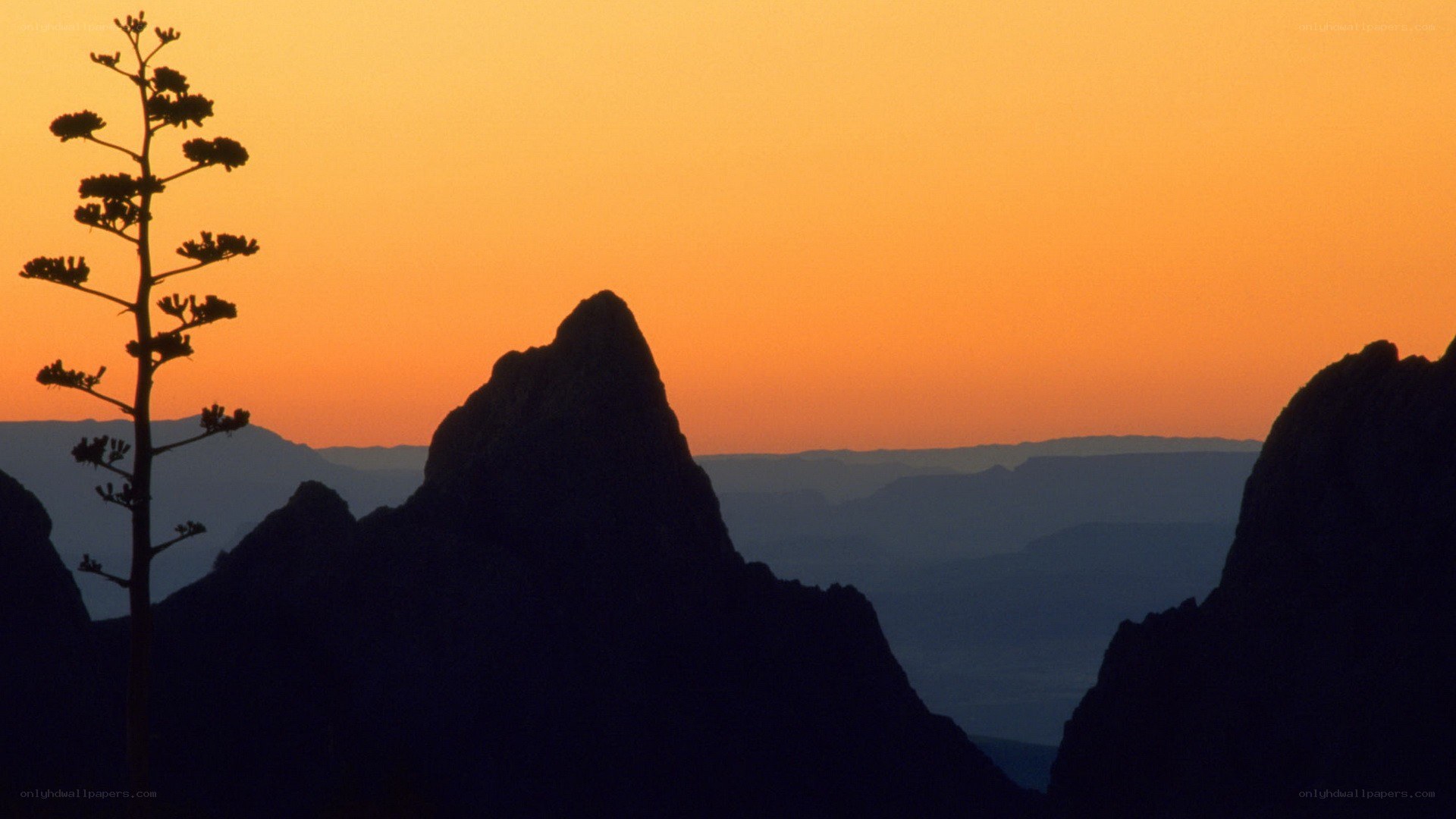 Sunset over mountain peaks