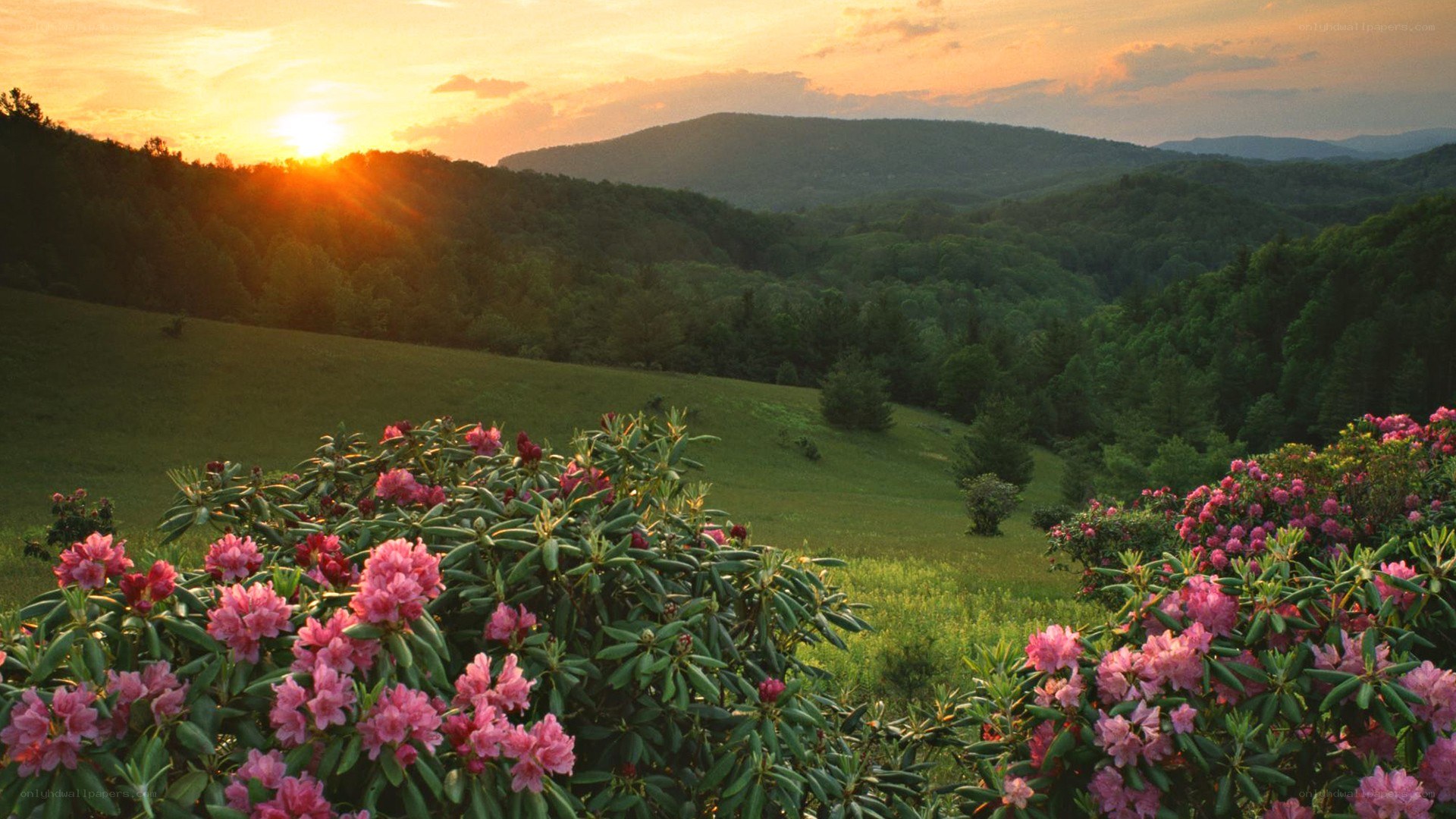 Sunset over mountain valley
